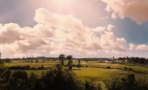 巨蟹视频app下载安卓版 巨蟹视频app下载安卓版