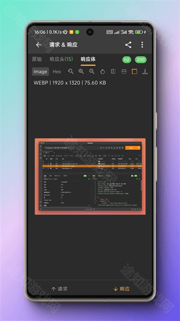 黄鸟抓包蓝色版本