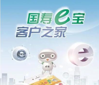 中国人寿国寿e店app官方