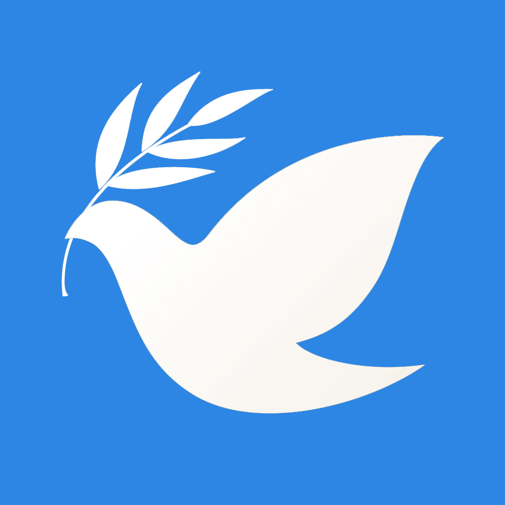 飞鸽博客官方版