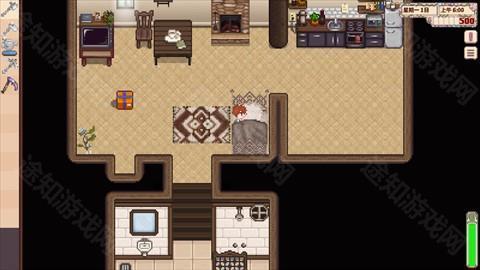 星露谷物语山谷女孩