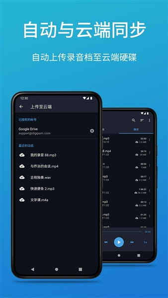easy voice recorder pro专业版