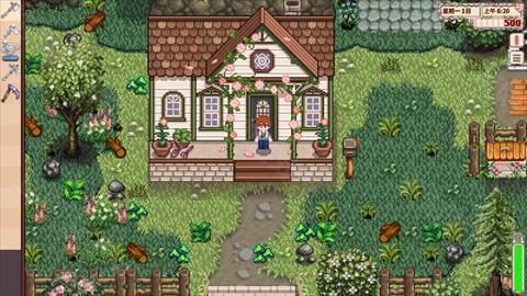 星露谷物语山谷女孩