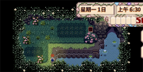 星露谷物语山谷女孩