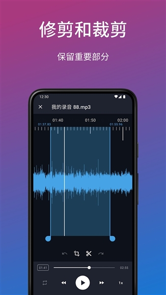 easy voice recorder pro专业版