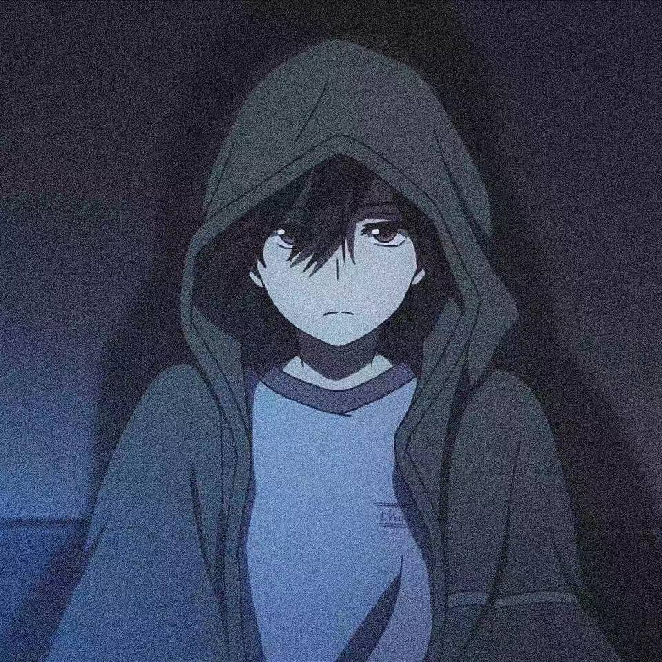 Hcc美化包安卓版