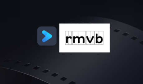 rmvb格式转换器安卓版下载手机版(RMVB Player HD)