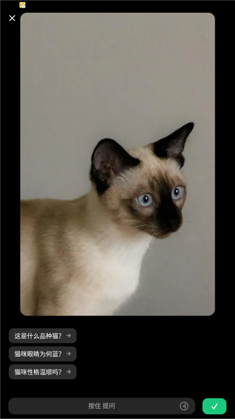 豆包爱学官方正版