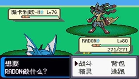 口袋妖怪决心mega进化