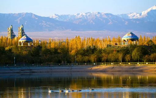 草原云手机客户端下载