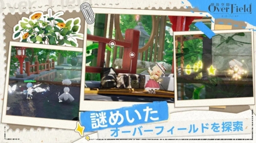 开放空间：田野之上