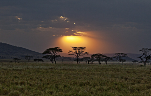 小刀影院免费版下载安装