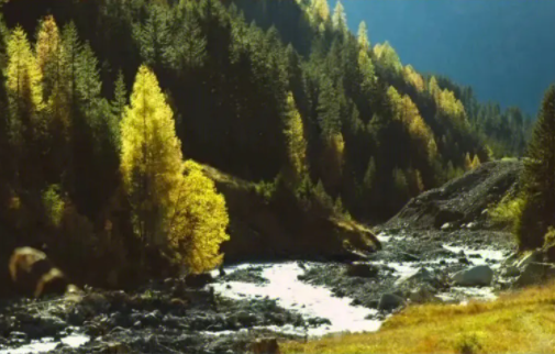 小刀影院免费版下载安装