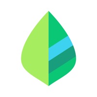 薄荷记账app官方版