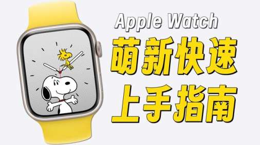 表盘商店软件最新版2023 表盘商店软件最新版2023