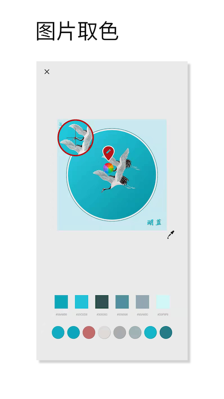 好色app最新版(观色配色)