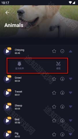 设置铃声或剪辑