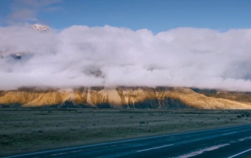 小荷塘影视官方正版下载