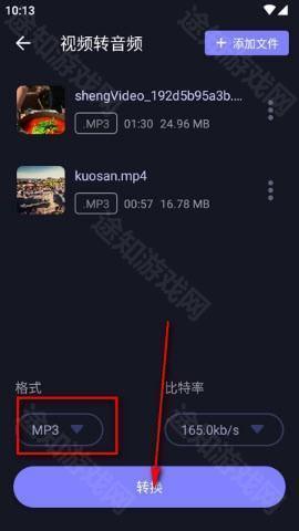 音频格式与参数设置