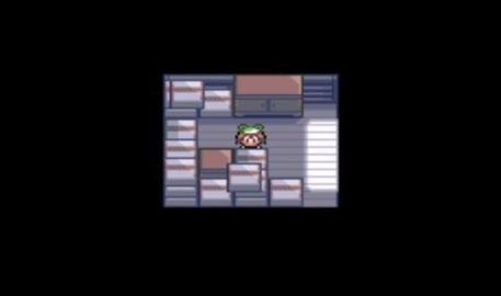 口袋妖怪神兽领域中文版