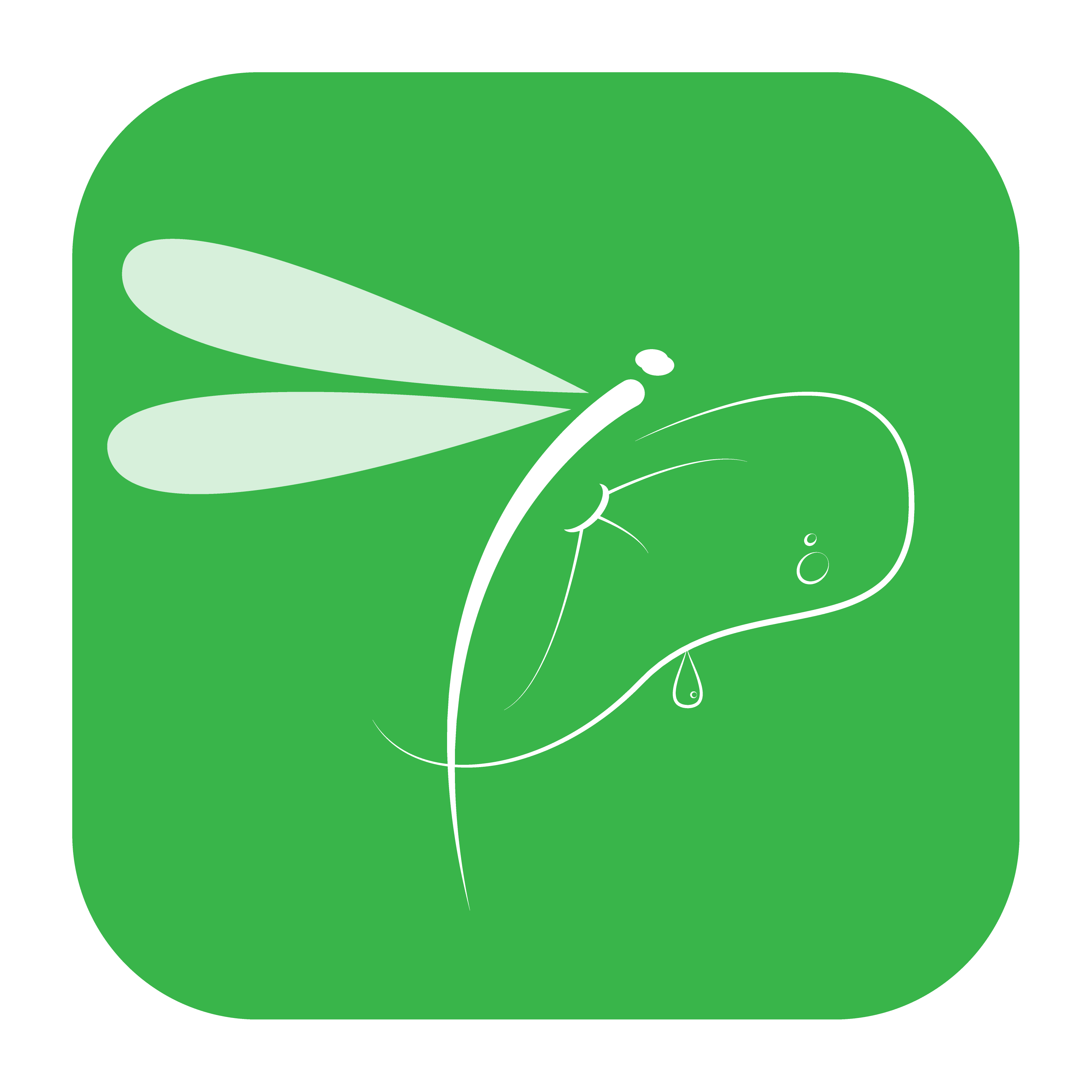 小荷塘影视官方正版