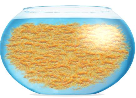 fishbowl性能测试