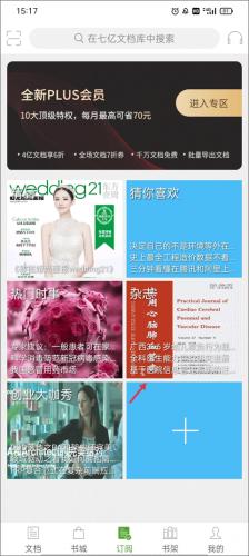 豆丁