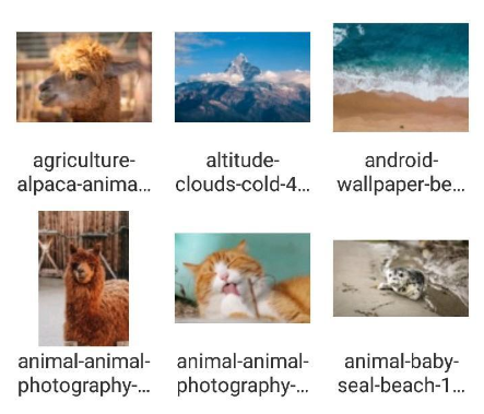 DS file最新版本下载