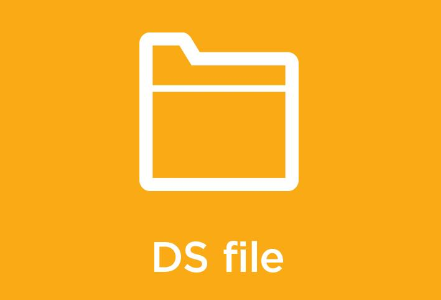 DS file最新版本下载