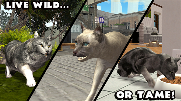 终极猫模拟器无限金币版宣传图