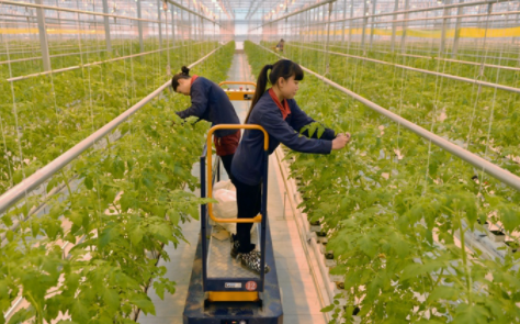 云上智农app最新版下载