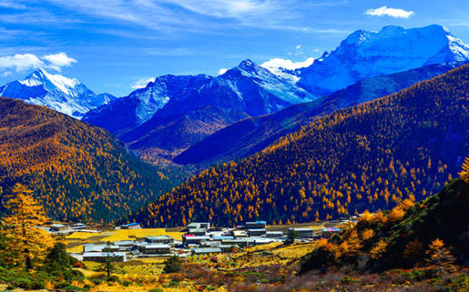 懂得影视官方下载安装app(影视大全看看)