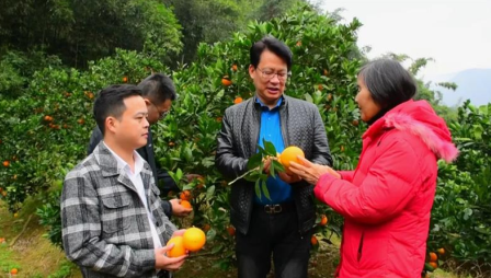 永辉买菜软件下载(永辉买菜)