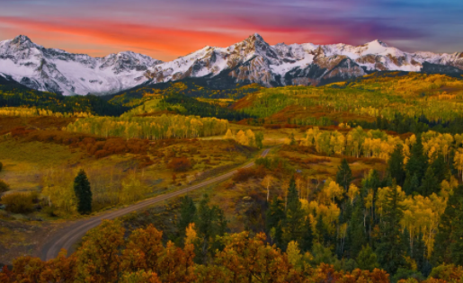 壁纸引擎wallpaper手机版