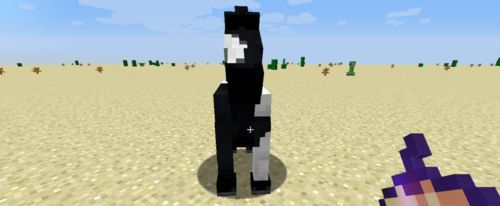 怎么驯服马配图2