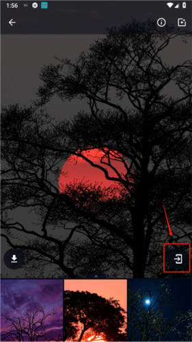 wallpaper4K安卓版图片6