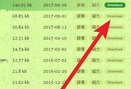 磁力猫kitty官网版