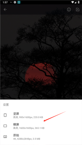 wallpaper4K安卓版图片7