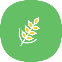 麦子下载app下载2026最新版