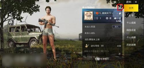 pubg低配版