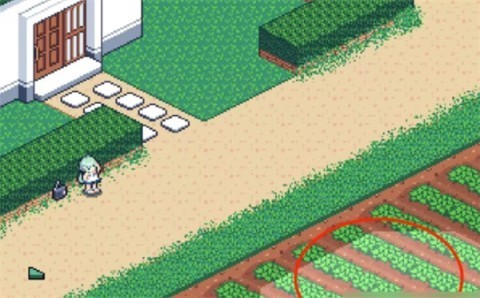 寻找夏日的宝物汉化版