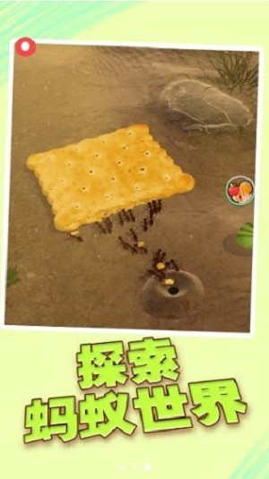 小蚁模拟器官网版