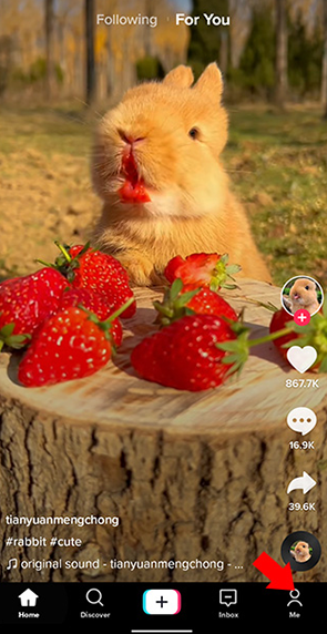 tiktok最新版全球版破解版截图5