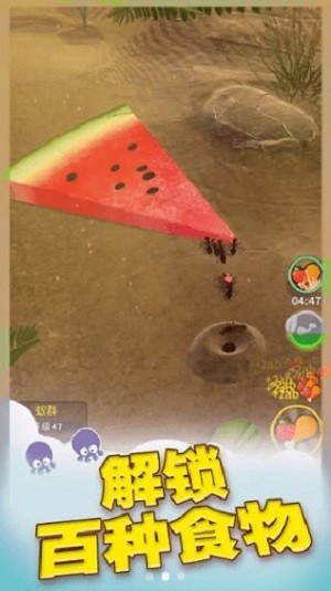 小蚁模拟器官网版