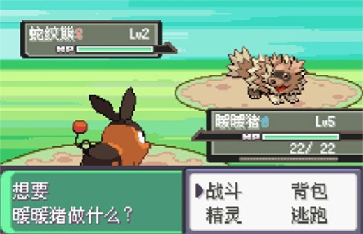 口袋妖怪漆黑的魅影DP版