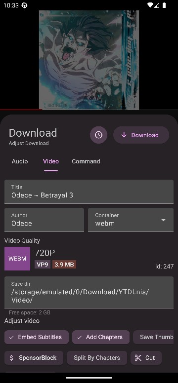 YTDLnis开源视频下载器