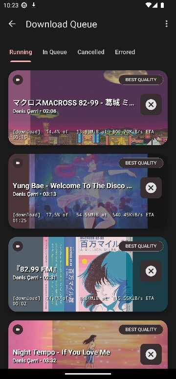 YTDLnis开源视频下载器