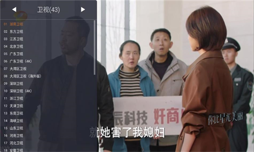 webview电视最新版