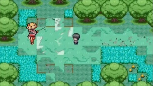 宝可梦迷之规则dlc