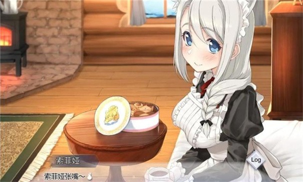 我与索菲亚的秘密游戏